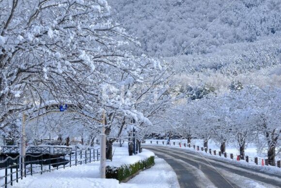 雪国に適したアスファルト舗装の工夫
