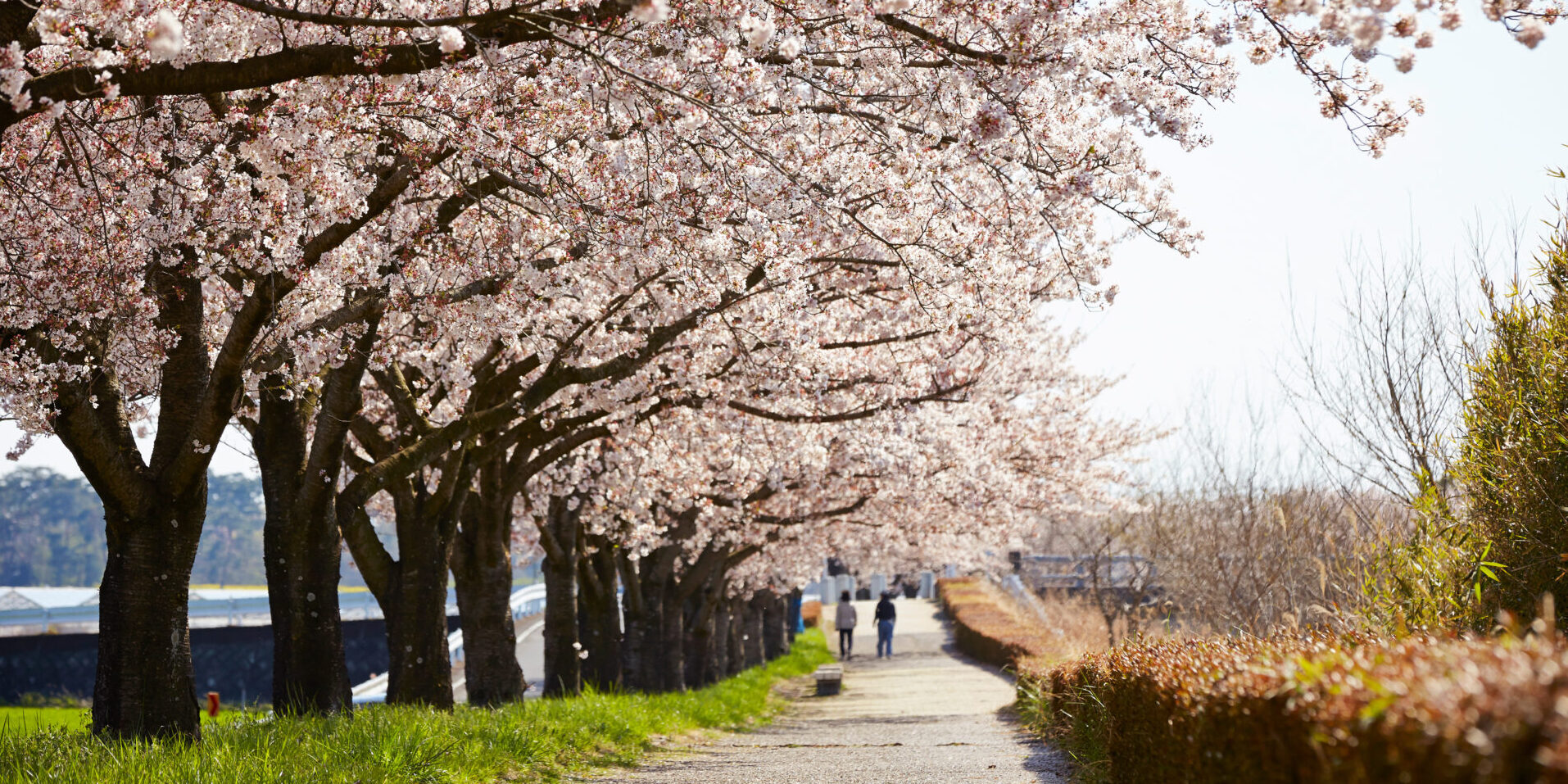広島の舗装工事で環境整備！新年度の駐車場メンテナンスで第一印象をアップ
