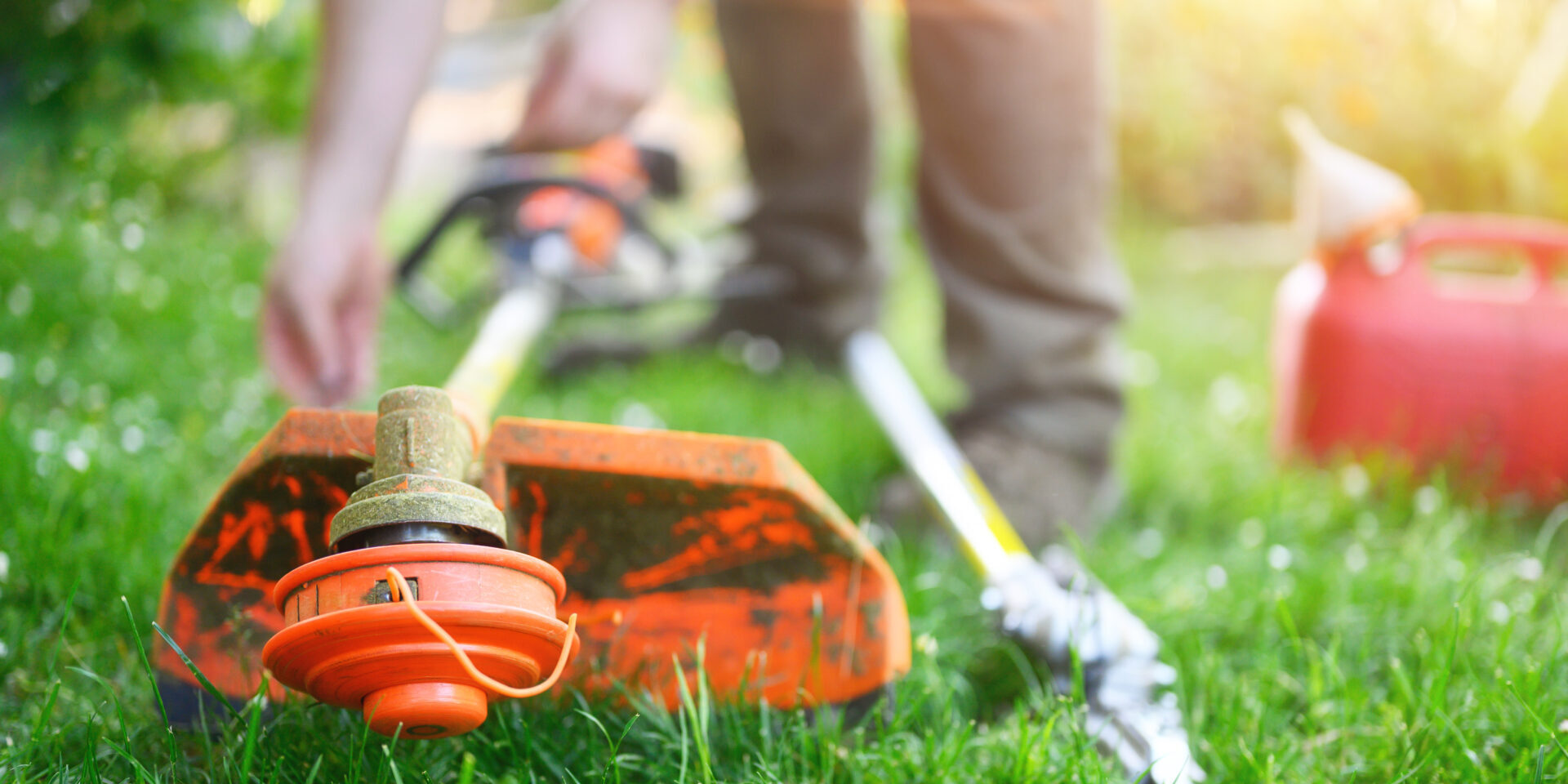 春の「草むしり地獄」をアスファルト舗装で解決！広島の雑草対策ガイド